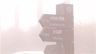 賞雪免人擠人！陽明山追雪秘境公開