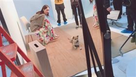 陳喬恩,復工,消瘦,粉絲,心疼,微博,微博台灣站　圖／翻攝微博台灣站