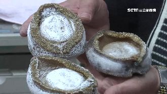 買高檔乾貨當投資　三頭鮑十年漲7倍