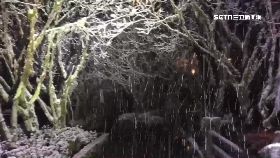 @太平大屯雪2400