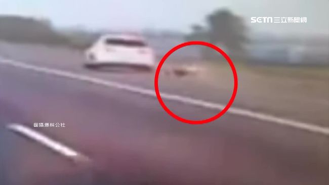 疑情侶吵架　狂女國道跳車翻滾3圈