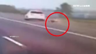 疑情侶吵架　狂女國道跳車翻滾3圈