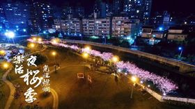 寒假,賞櫻,櫻花,2018樂活夜櫻季,樂活夜櫻季,內湖,樂活公園,櫻花步道