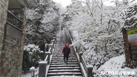 太平山下雪/羅東林管處提供
