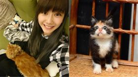 邵庭（圖／翻攝自臉書）