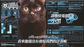 春樹科技,粉多集點卡,邊緣人,走路痛,網路／業配