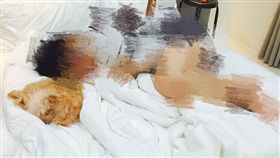 男友,夢話,名字,狗狗,傷心,Dcard　圖／翻攝自Dcard