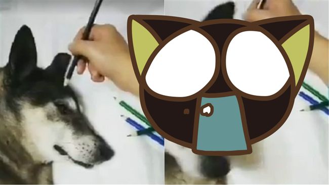 他畫「逼真」哈士奇！下一秒笑翻網友
