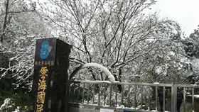 新北市,坪林,北宜公路,下雪,寒流,新店警分局,所長