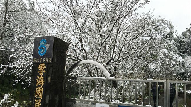 坪林沒下雪啦　所長：麥擱卡啊！