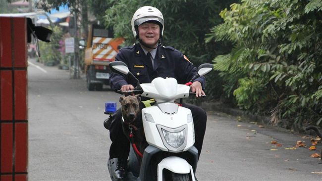 波麗士警犬「霸王」　高人氣風靡日本