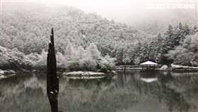 追雪,交管,高山湖泊,力麗馬告生態園區-明池山莊,氣溫,明池山莊,明池湖