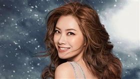 徐懷鈺，演唱會。(圖/翻攝自臉書)