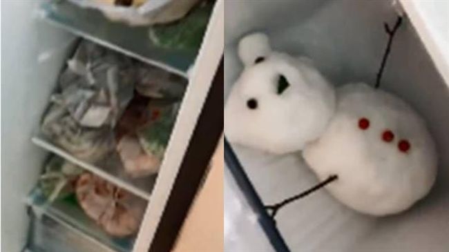 給你看個寶貝！她開冰箱炫耀珍藏雪人