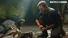 侏羅紀世界：殞落國度　Jurassic World／環球影業提供
