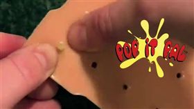 擠痘痘,玩具,美國,粉刺,膿瘡,Pop it pal,爆漿麻吉／翻攝Pop it Pal臉書