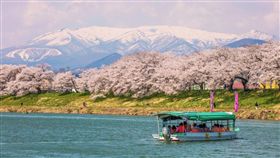 ▲日本宮城花見屋形船。（圖／Tripbaa趣吧！達人帶路）