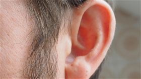 地震來襲真的能被預知？「夏綠蒂」網友狂被耳鳴騷擾
耳朵 耳鳴 人體 地震 預知 夏綠蒂症候群 夏綠蒂現象
圖／翻攝自pixabay