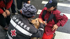 花蓮雲門翠堤社區救出毛小孩。（圖／翻攝自中華民國紅十字會臉書）