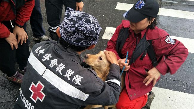 主人是否安好？雲翠救出失散3毛小孩