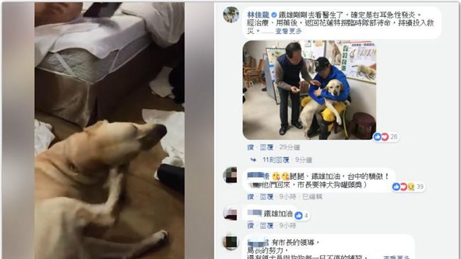 好棒！「鐵雄」立大功　網：犒賞罐頭
