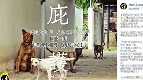 台流浪犬貓的「TNVR結紮團隊」在臉書PO文公告表示，將於國盛一街「中華國小活動中心」成立受災戶犬貓臨時庇護所。（圖／截取自「TNVR結紮團隊」臉書粉絲團）