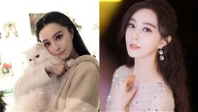 范冰冰/翻攝自臉書