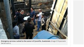 中美洲,瓜地馬拉,馬戲團,員工,老虎,飢餓,雙臂,咬斷,恐怖
https://www.mirror.co.uk/news/world-news/tigers-rip-circus-workers-arms-11982204