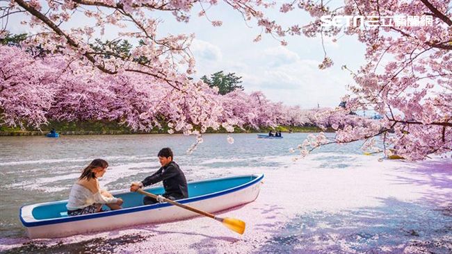 日本東北賞櫻景點　護城河變粉紅仙境