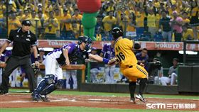 台灣大賽,周思齊,林琨笙（圖／記者林敬旻攝）