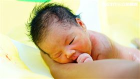 少子化,懷孕,凍卵,不孕,寶寶,分娩,孕婦（圖／記者李鴻典攝）