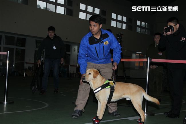憲兵軍犬分隊進行不同軍犬實施氣味連結、初階搜索、偵爆能力、辦公室搜索、雜物堆搜尋及簡易炸彈爆破等操演。（記者邱榮吉/攝影）