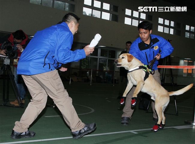 憲兵軍犬分隊進行不同軍犬實施氣味連結、初階搜索、偵爆能力、辦公室搜索、雜物堆搜尋及簡易炸彈爆破等操演。（記者邱榮吉/攝影）