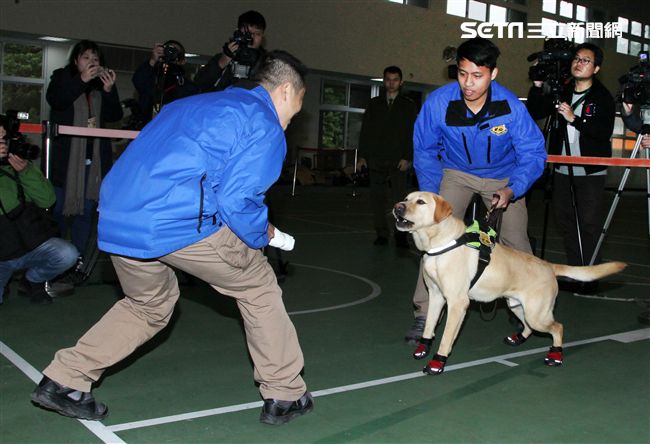 憲兵軍犬分隊進行不同軍犬實施氣味連結、初階搜索、偵爆能力、辦公室搜索、雜物堆搜尋及簡易炸彈爆破等操演。（記者邱榮吉/攝影）