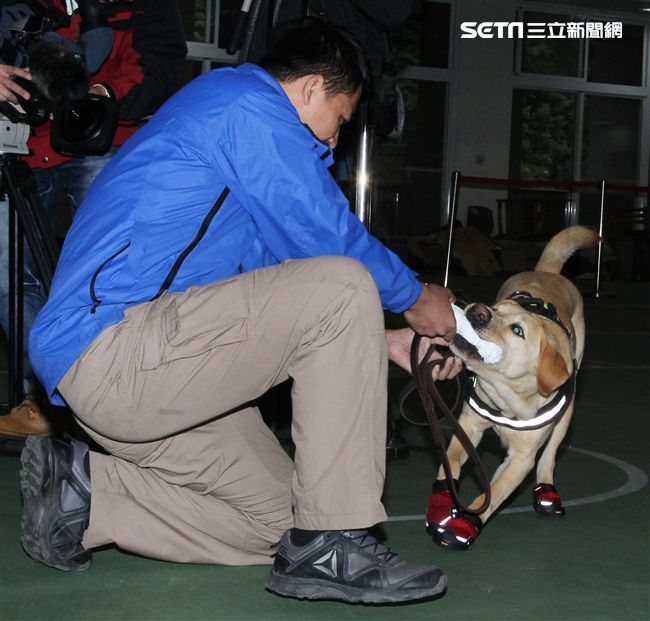 憲兵軍犬分隊進行不同軍犬實施氣味連結、初階搜索、偵爆能力、辦公室搜索、雜物堆搜尋及簡易炸彈爆破等操演。（記者邱榮吉/攝影）