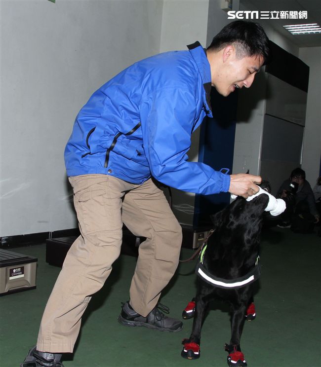憲兵軍犬分隊進行不同軍犬實施氣味連結、初階搜索、偵爆能力、辦公室搜索、雜物堆搜尋及簡易炸彈爆破等操演。（記者邱榮吉/攝影）