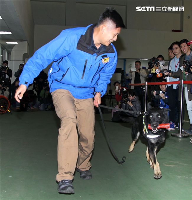 憲兵軍犬分隊進行不同軍犬實施氣味連結、初階搜索、偵爆能力、辦公室搜索、雜物堆搜尋及簡易炸彈爆破等操演。（記者邱榮吉/攝影）