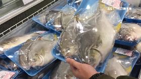 怎辨假白鯧1800 28