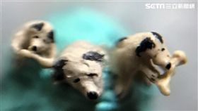 毫芒雕刻家陳逢顯，再度創作出高0.1公分的世界最小毫芒雕刻小狗，讓人看了讚嘆不已（陳逢顯提供）