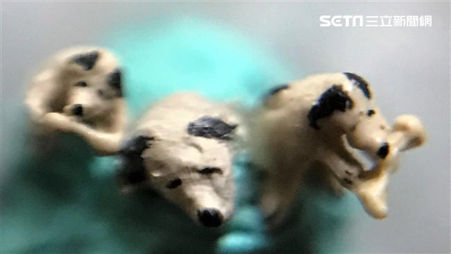 微雕狗超可愛　僅米粒1/20大