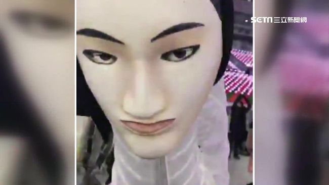 最恐怖吉祥物　冬奧「人面鳥」亮相