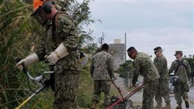 美軍出「打掃公差」　網笑：不只台灣國軍在割草
▲。（圖／翻攝自在沖米海軍艦隊活動司令部臉書）