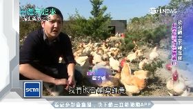 (編)查獲衝鋒槍1600