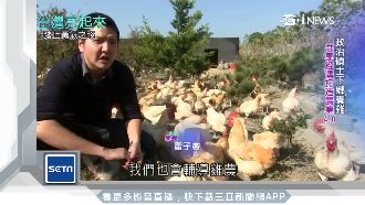 網路銷代理孕「雞」　碩士創經濟三贏