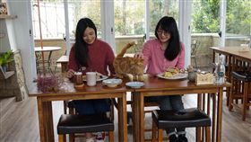 飯店級貓餐廳開幕，東森山林成寵物渡假勝地