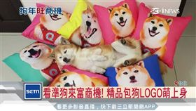 看準狗來富商機! 精品?狗LOGO萌上身