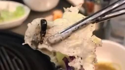 吃肉咬到蟲　店家卸責：都是菜的錯