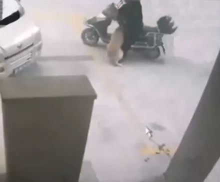 失竊阿金重返家門　還外帶竊賊的百元