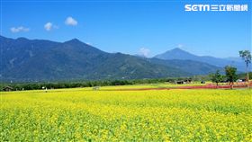 過年,連假,林務局,國家森林遊樂區,平地森林園區,林業文化園區,生態教育館,自然步道