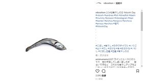 小魚乾,IG,Instagram（圖／niboshism　https://www.instagram.com/p/BfKBESAFgDr/?taken-by=niboshism）